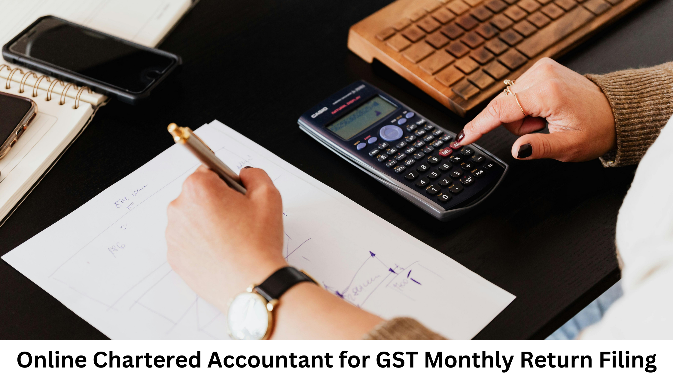 Expert Online Chartered Accountant for GST Monthly Return Filing